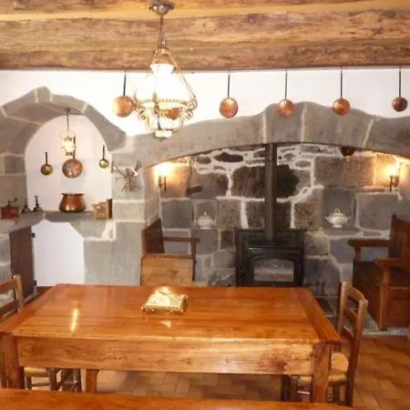Tatil Evi Maison Renovee Avec Jardin Et Garage, Proche De Salers Et Puy Mary - 2 Pers, 60 M² - Fr-1-742-489 *