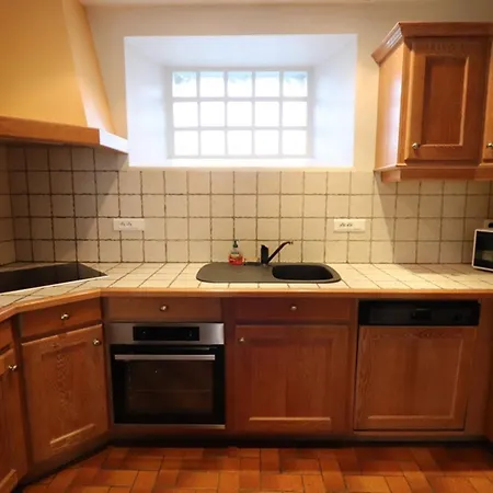 Tatil Evi Maison Renovee Avec Jardin Et Garage, Proche De Salers Et Puy Mary - 2 Pers, 60 M² - Fr-1-742-489 *
